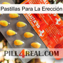 Pastillas Para La Erección new01